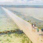 Découvrir l&rsquo;île de Noirmoutier avec L’idîle