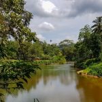 Émerveillez-vous devant la diversité de la réservation Love Nature