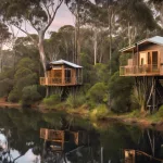 Là-haut, une aventure inoubliable dans les cabanes perchées de Sydney