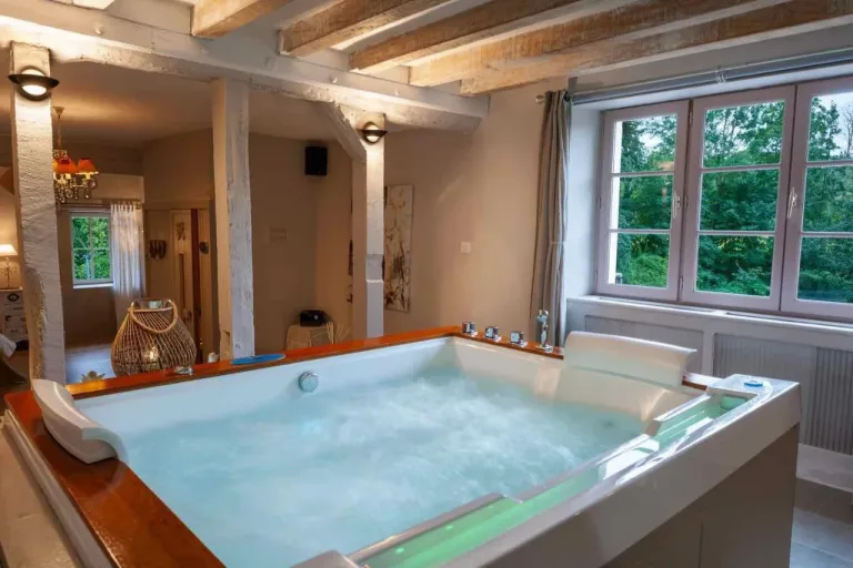 Charme au fil de l'eau, love room à Vendières